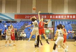 2011年NBA总决赛对位前瞻――小前锋＂+pindao+＂_中国网络电视台