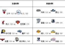 “黑白体育”盗播NBA 法院裁定立即停止侵权